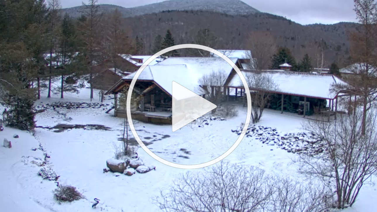Live Webcam Adirondack Experience, Blue Mountain Lake, New York - United States