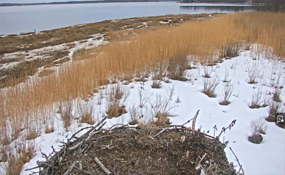 Great Bay National Estuarine Research Reserve