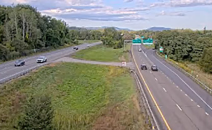 Median at Taconic State Parkway (2)