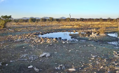 Namibia Waterhole