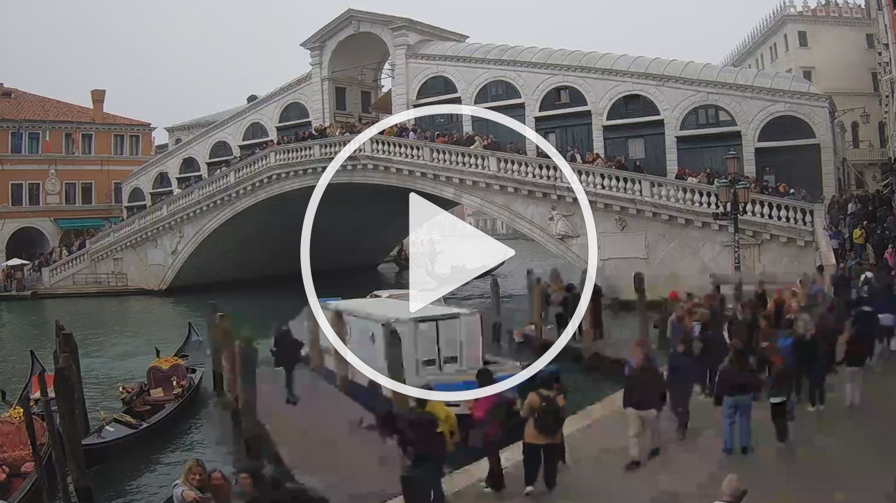 Rialto Bridge and the Grand Canal